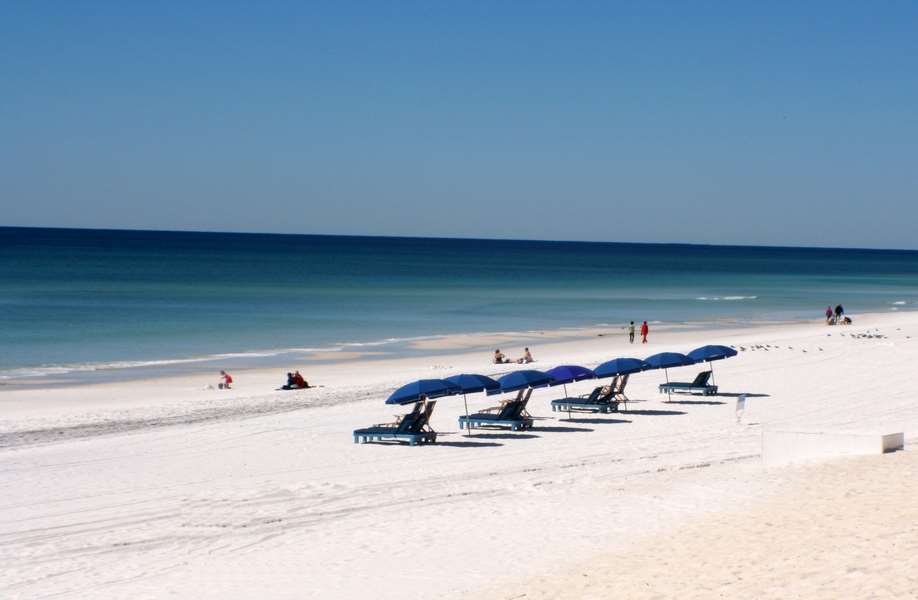 Embassy Suites By Hilton Destin Miramar Beach Nature photo